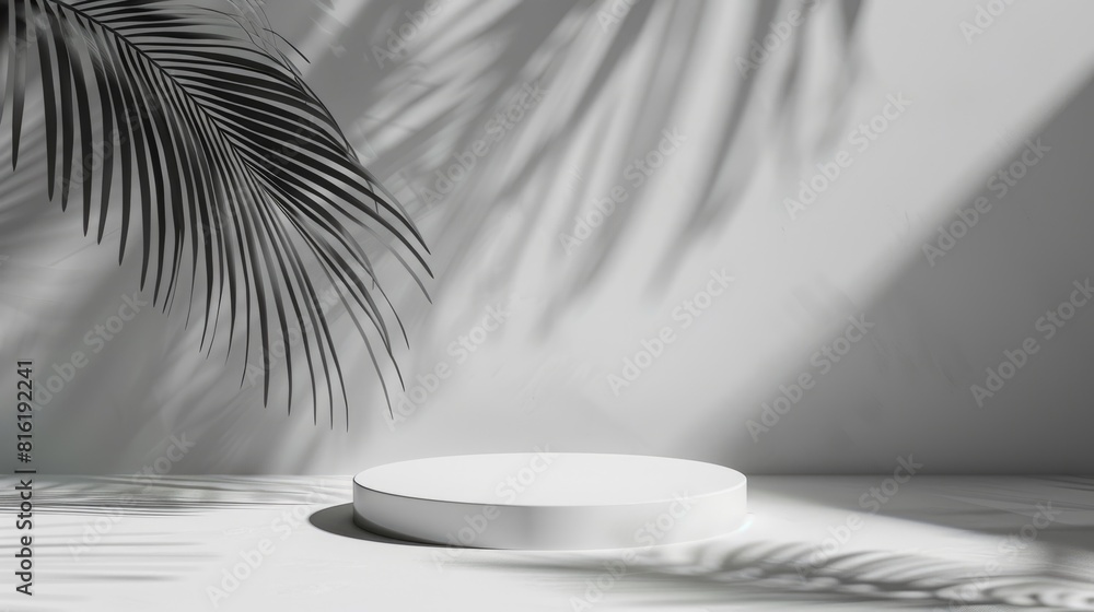 Poster minimalism background. 3d rendering stage showcase with natural leaf platform for product display