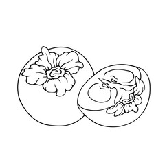 Linear sketch, coloring of persimmon and pieces of fruit. Vector graphics.