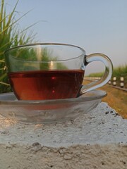 cup of tea in the morning