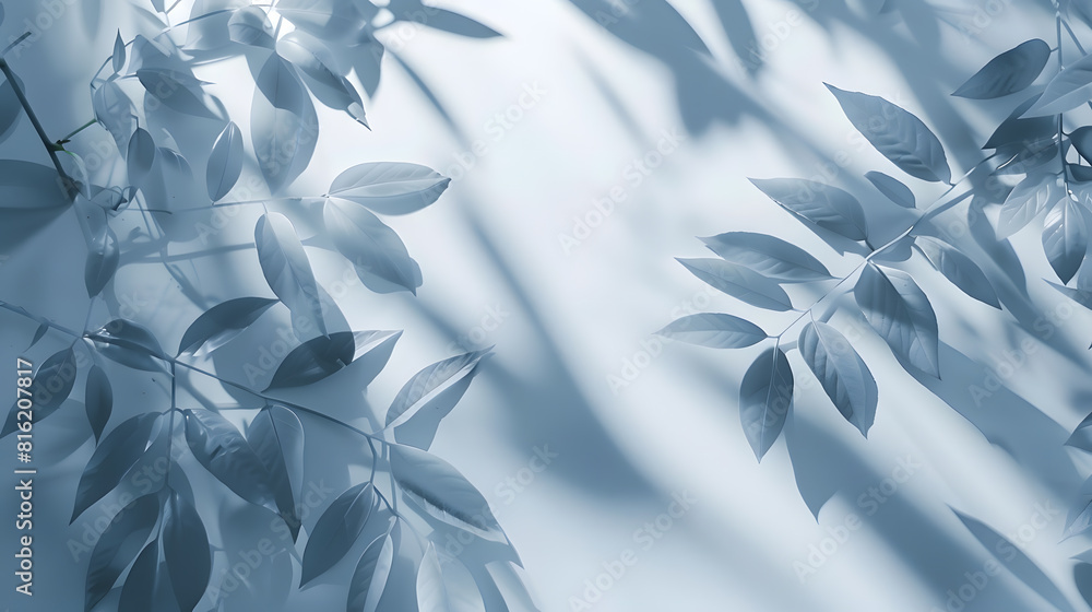 Poster abstract shadow sun glare from glass and leaves empty background composition for product presentatio