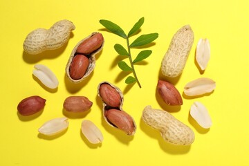 Fresh peanuts and twig on yellow background, flat lay