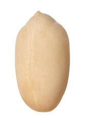 One fresh peeled peanut isolated on white