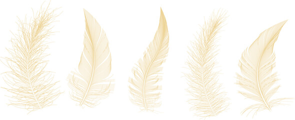 Fluffy twirled feather set, isolated Goose feathers realistic style, vector