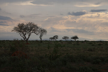   sunset in kenya