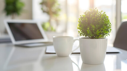 Close up view of simple workspace with laptop notebooks coffee cup and tree pot on white table with...