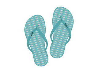 Comfortable beach pairs of shoes. Summer bright flip flops. Vector illustration
