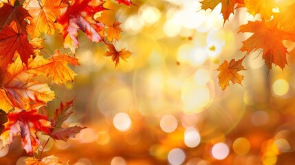 Fototapeta premium Autumn Leaves in the Forest With Bokeh