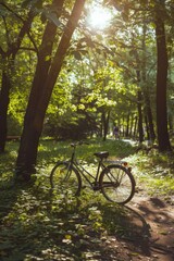 Fototapeta premium A bicycle is parked in a forest
