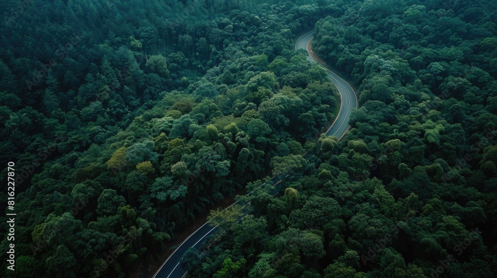 Poster A winding road through a forest with trees on both sides