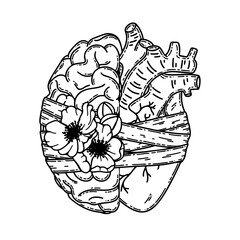 Realistic human heart half and brain line art vector. Psychological or heart disease, mental health issues, logic and emotion priority concept
