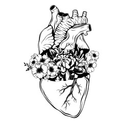 Doodle background with realistic human heart, flowers for Valentine greeting card, wedding. Romantic sign, nature love concept. Line art, print, tattoo sketch
