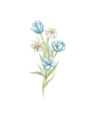 Obraz premium Bouquet with vintage green blue flowers and narcissus vegetation composition isolated on white background. Watercolor hand drawn illustration sketch