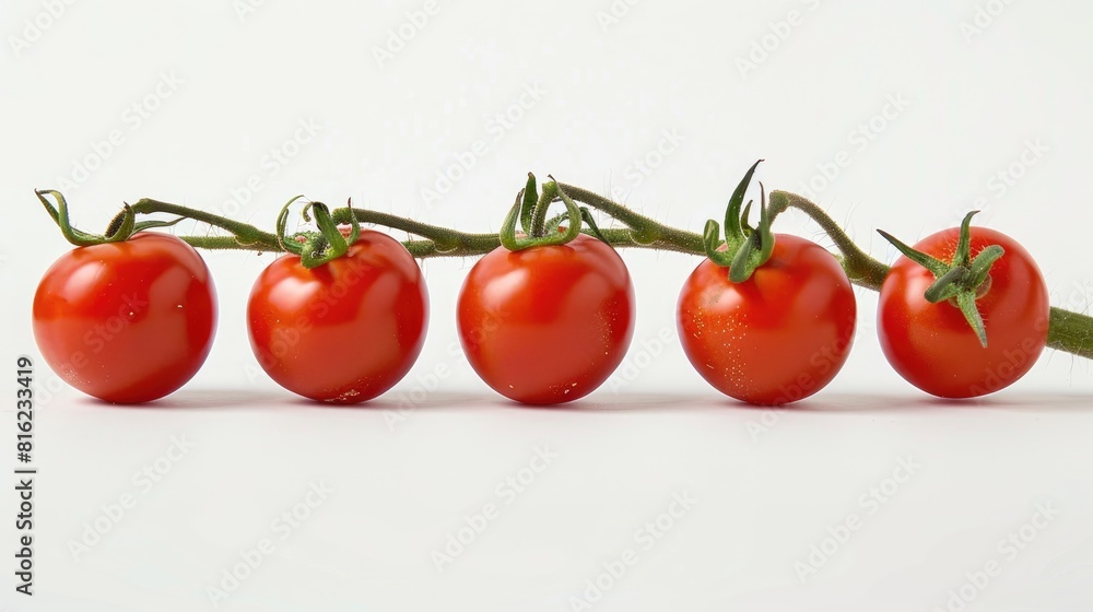 Poster branch of tomatoes isolated on white background with full depth of field and no shadows perfect for 