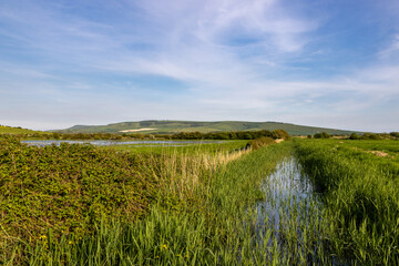A stream in the countryside and water in a field after a wet winter © lemanieh