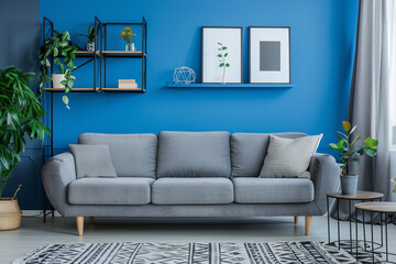 Grey sofa against blue wall with shelf. Scandinavian interior design of modern living room home.