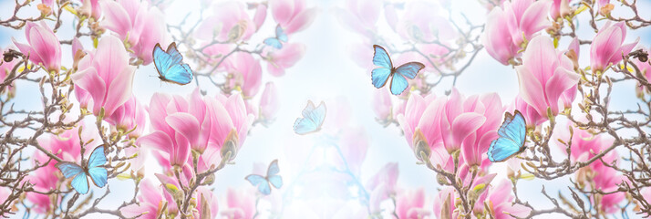 Magnolia flower and Morpho didius butterflies in spring fairy tale blooming garden on mysterious...