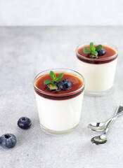 Panna cotta in glass with blueberry on a gray background, copy space. Italian dessert 