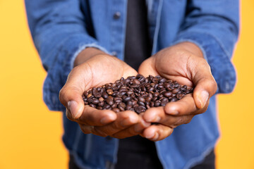 Coffee lover examining aromatic roasted beans against yellow background, promoting cold brew at a...