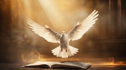 Holy Spirit. Holy ibis. Sacred dove. Relegia. Religions