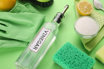 Eco friendly natural cleaners. Vinegar in bottle, soda, sponge, lemon and gloves on green background