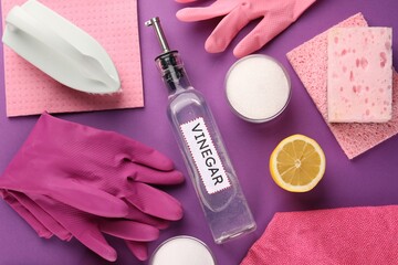 Eco friendly natural cleaners. Flat lay composition with bottle of vinegar and gloves on purple background