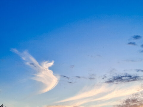 Sky and clouds. Angel white and blue color. Indivisible Day- text, world holiday