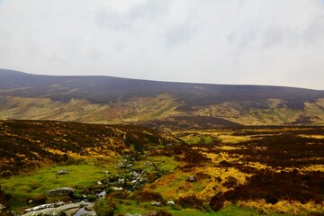 Boggy landscape in the Wicklow mountains 