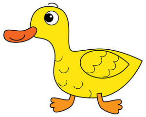 Cartoon happy farm animal cheerful duck bird running isolated background with sketch drawing illustration for children