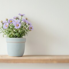 Fototapeta premium Aster flowers background with copy space.