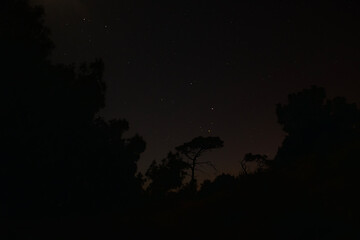Obraz premium starry sky and beach