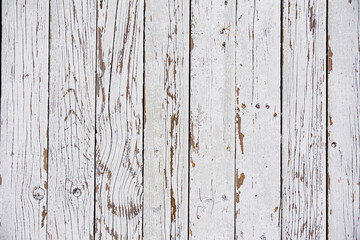 white painted distressed wooden plank floor