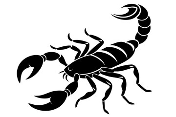 scorpion line art silhouette illustration