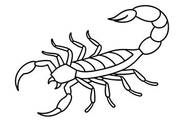 scorpion line art silhouette illustration