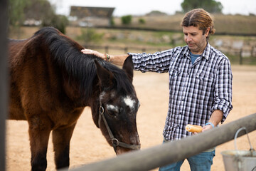 Farmer man feeding horse with bread in farm backyard