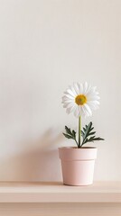 Daisy background with copy space. Valentines day, mothers day, women's day concept.