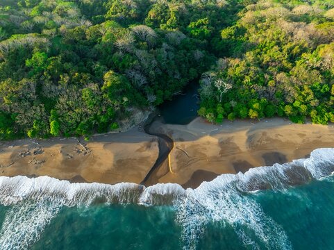 Aerial view, top-down, rainforest, sandy beach and coast with waves, Playa Cocalito, Puntarenas, Costa Rica, Central America