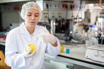Professional female geneticist working in laboratory, injecting additives into apple during...