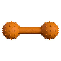 Knobbly dog toy Rubber isolated 3d rendered illustration