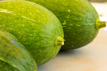 Photograph of fresh green pumpkins.