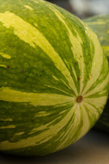 Photograph of fresh green pumpkins.