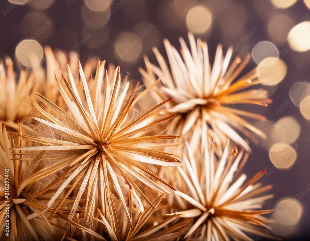 Aufkleber a close up of a bunch of fireworks on a dark background with a blurry image of firecrackers in the m