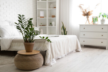 Interior of light bedroom with houseplant and laptop on white bed