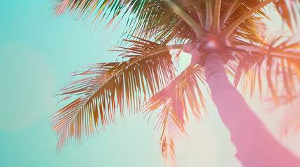 Tropical Palm Tree background  soft pastel summer color vintage retro tones : Generative AI