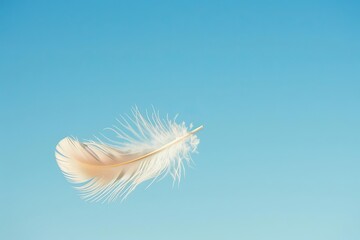 ethereal feather floating against clear blue sky abstract background