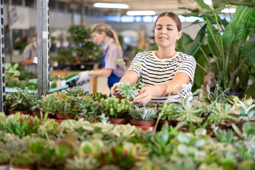 Young woman holding pots with different succulents in plant store