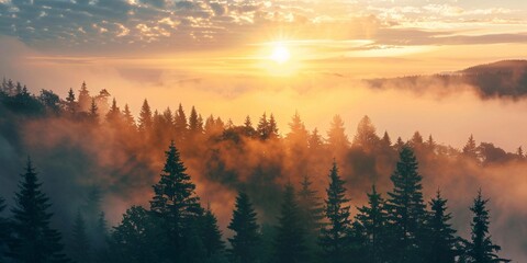 Serene Sunrise Over Misty Forest