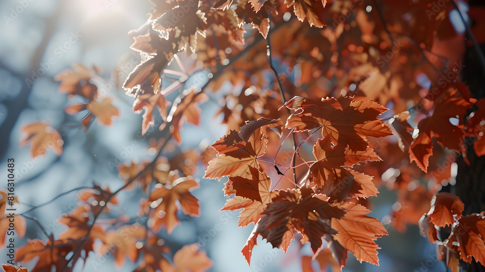 Aufkleber the maple trees sheds its leaves in the dry : generative ai