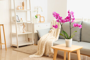 Orchid flower on table near sofa in living room interior