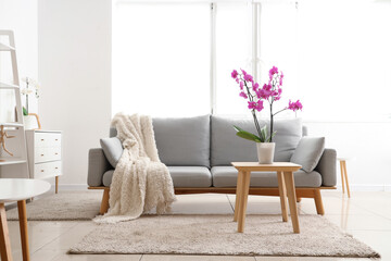 Orchid flower on table near sofa in living room interior