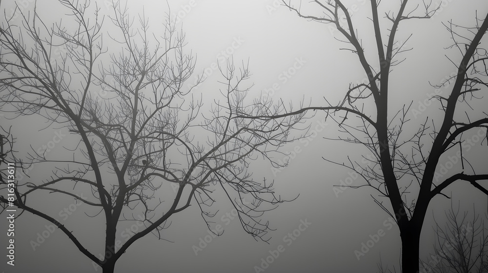 Poster a monochrome image capturing the eerie silhouettes of bare trees shrouded in a dense morning fog cre